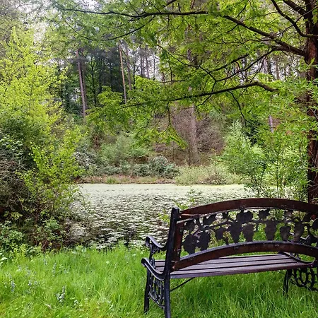 Grosszuegiges Mit Wald Holiday home Gerdau