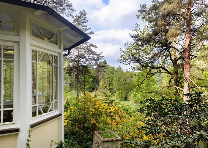 Grosszuegiges Mit Wald * Gerdau